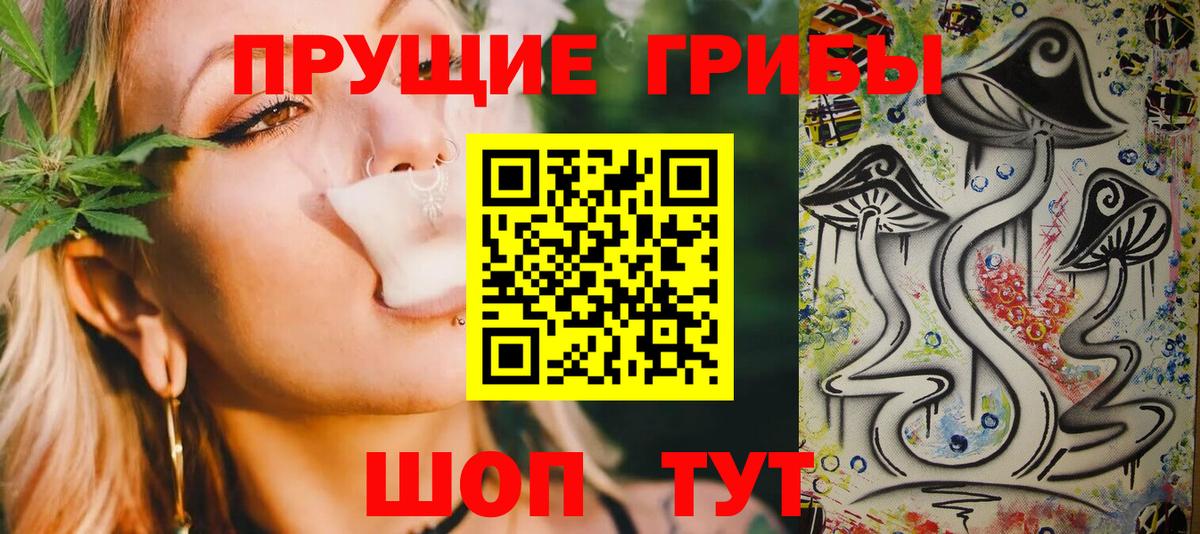 Псилоцибиновые грибы MAGIC MUSHROOMS Калининград